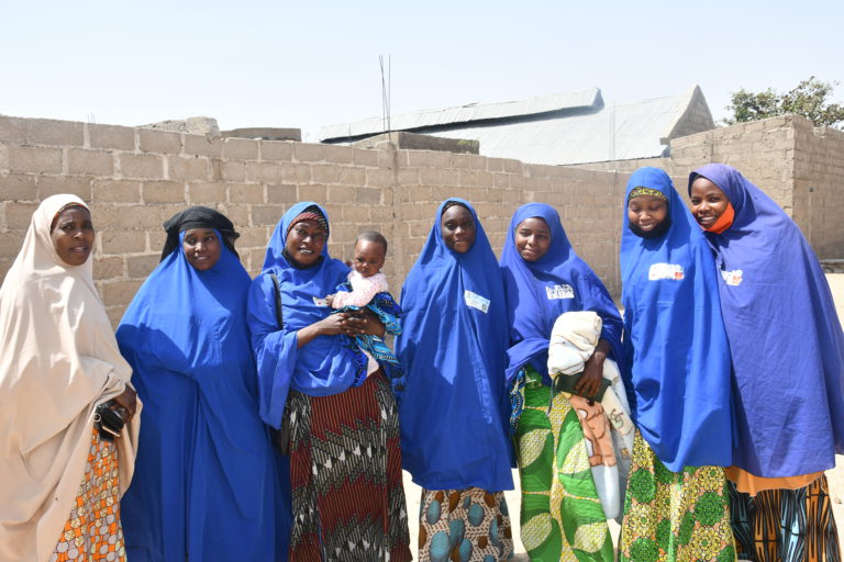 Institute Provides Nutrition Services to 1.5 Million Kano Women & Children
