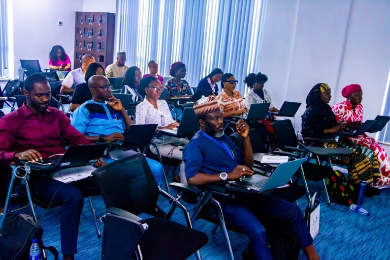 Data Analysts, Researchers Gain Skills at PHDA Training